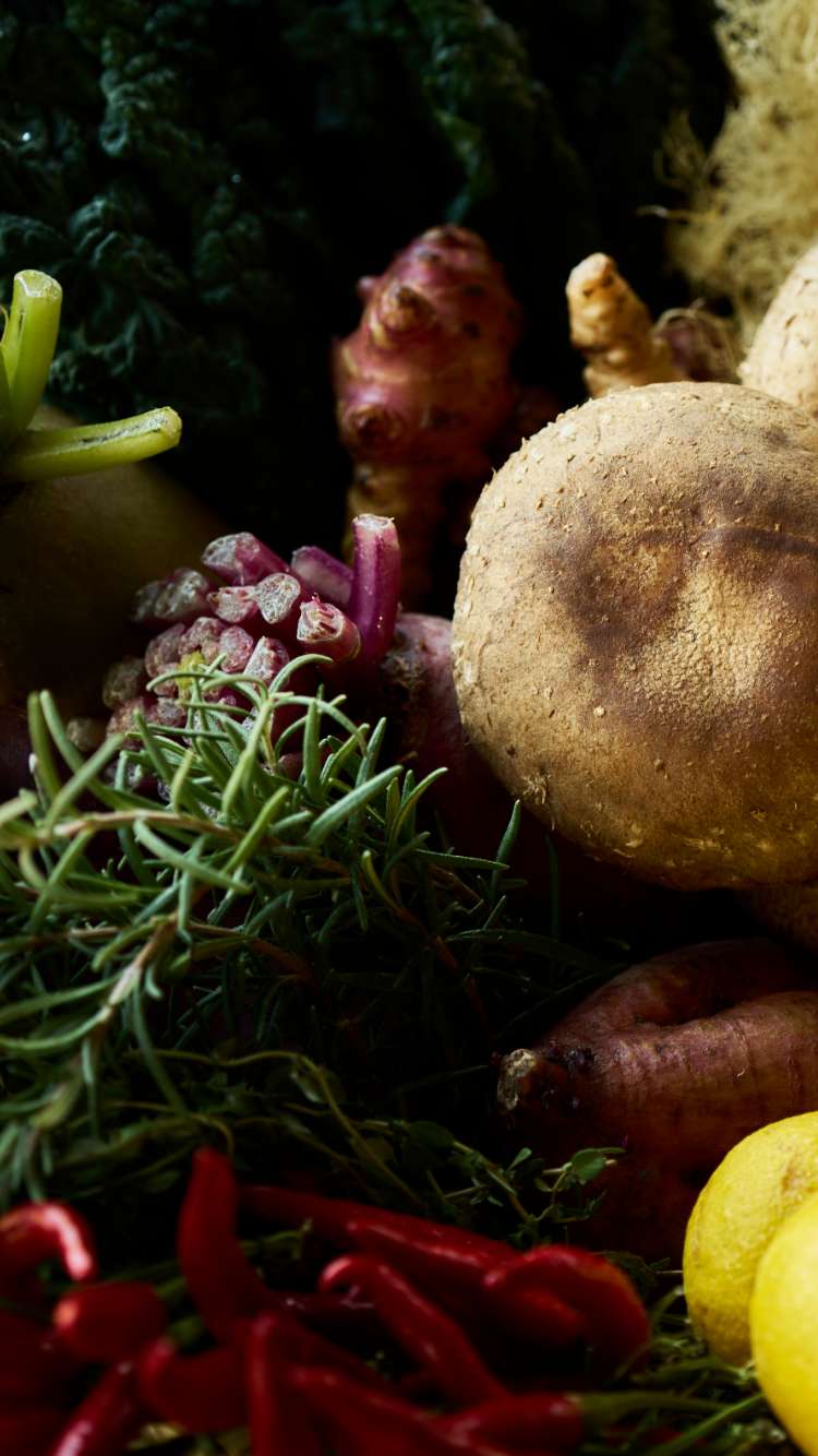 cadoreの食事イメージ写真