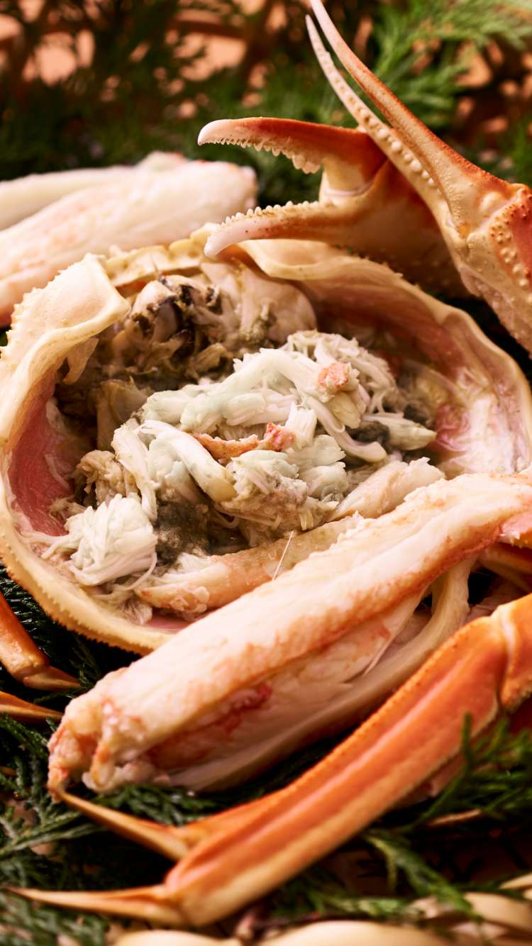 食事のイメージ写真