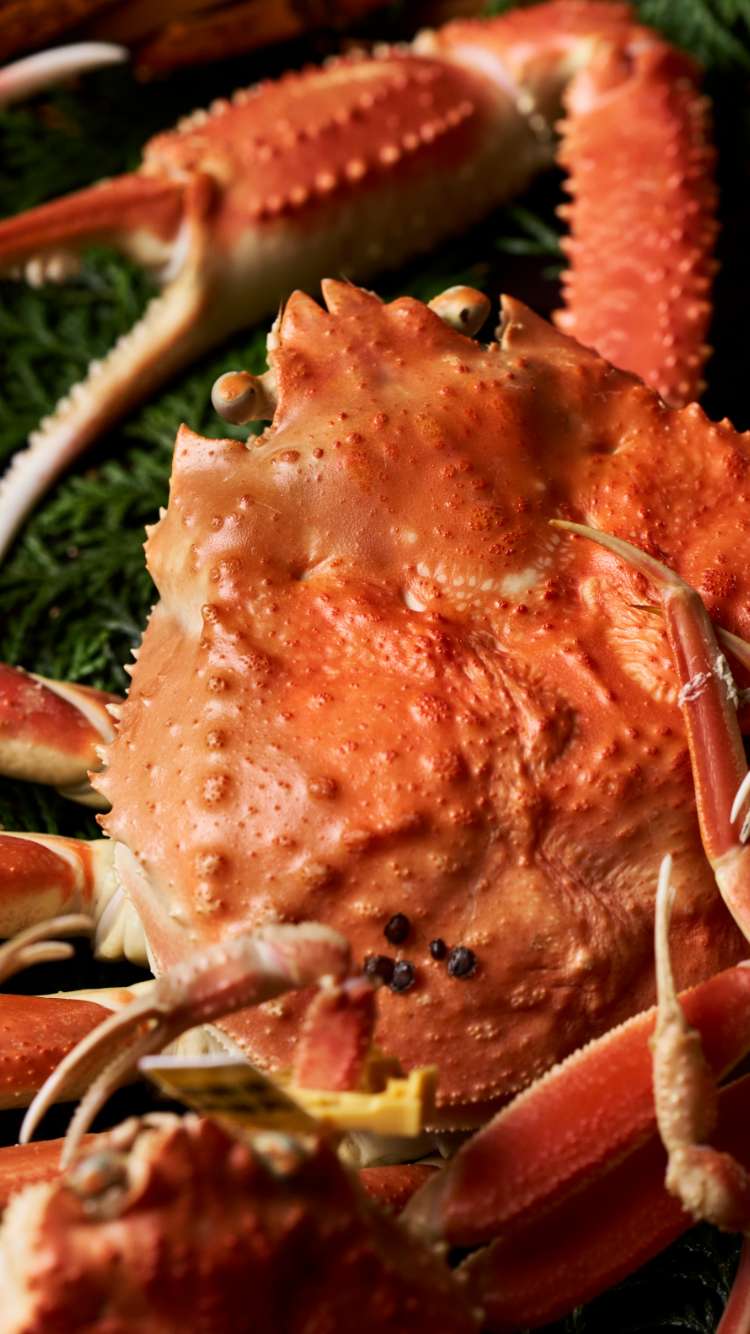 日本料理えん の食事イメージ写真