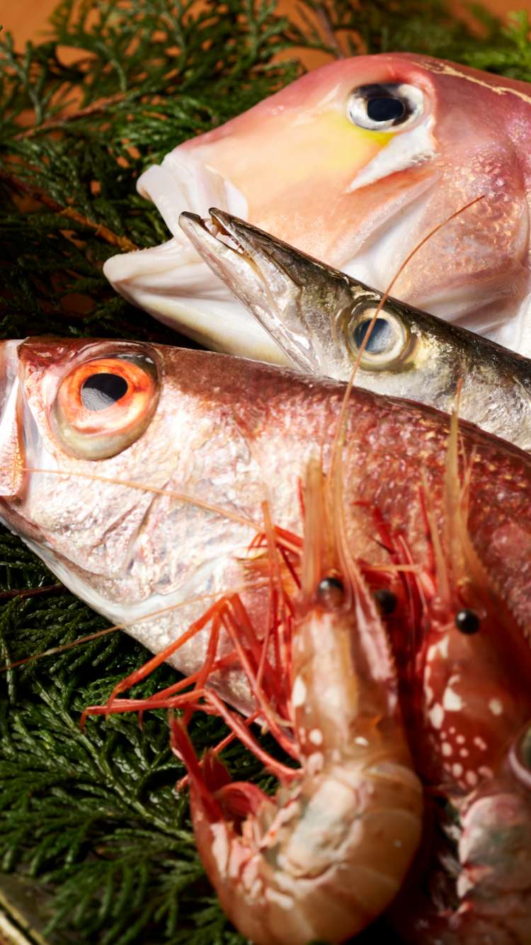 日本料理えん の食事イメージ写真